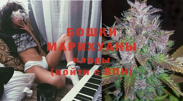 ГАЛЛЮЦИНОГЕННЫЕ ГРИБЫ Дмитриев