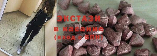 ГАЛЛЮЦИНОГЕННЫЕ ГРИБЫ Дмитриев