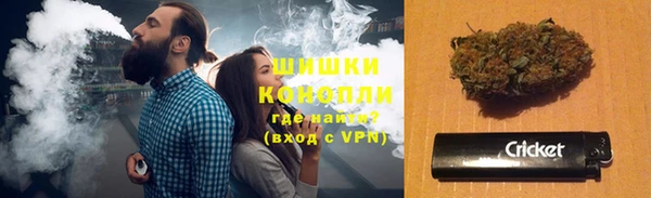 ГАЛЛЮЦИНОГЕННЫЕ ГРИБЫ Дмитриев