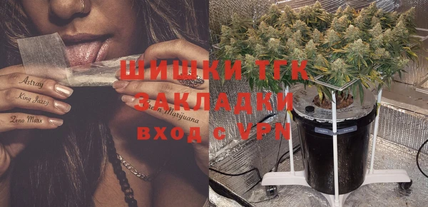 ГАЛЛЮЦИНОГЕННЫЕ ГРИБЫ Дмитриев