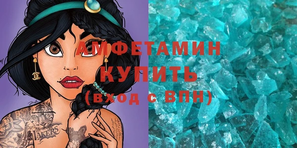 ГАЛЛЮЦИНОГЕННЫЕ ГРИБЫ Дмитриев