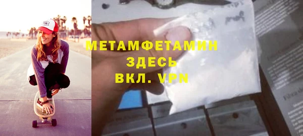 ГАЛЛЮЦИНОГЕННЫЕ ГРИБЫ Дмитриев