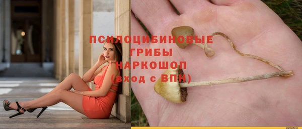 ГАЛЛЮЦИНОГЕННЫЕ ГРИБЫ Дмитриев