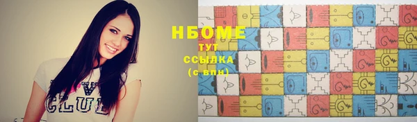 ГАЛЛЮЦИНОГЕННЫЕ ГРИБЫ Дмитриев