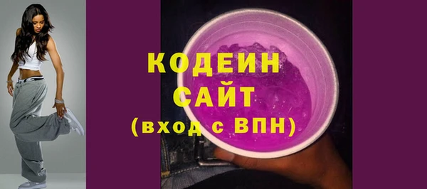 ГАЛЛЮЦИНОГЕННЫЕ ГРИБЫ Дмитриев