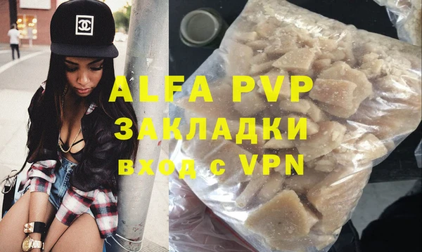 ГАЛЛЮЦИНОГЕННЫЕ ГРИБЫ Дмитриев