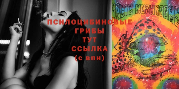 ГАЛЛЮЦИНОГЕННЫЕ ГРИБЫ Дмитриев