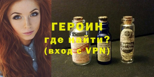 ГАЛЛЮЦИНОГЕННЫЕ ГРИБЫ Дмитриев