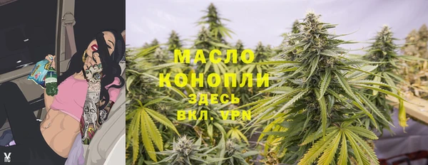 ГАЛЛЮЦИНОГЕННЫЕ ГРИБЫ Дмитриев
