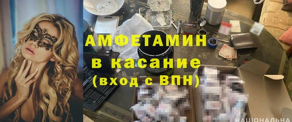 ГАЛЛЮЦИНОГЕННЫЕ ГРИБЫ Дмитриев