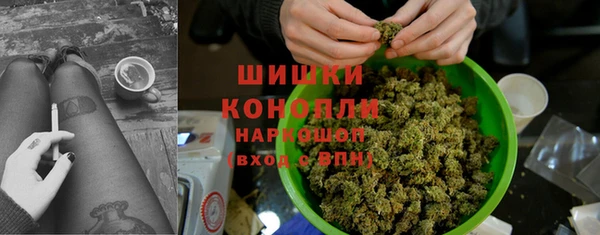 ГАЛЛЮЦИНОГЕННЫЕ ГРИБЫ Дмитриев