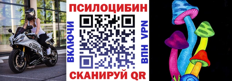 Купить где  Грязовец  Псилоцибиновые грибы GOLDEN TEACHER 