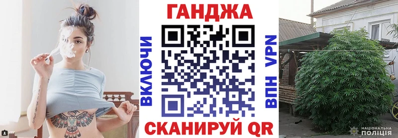 Конопля план  Купить закладки  Грязовец 